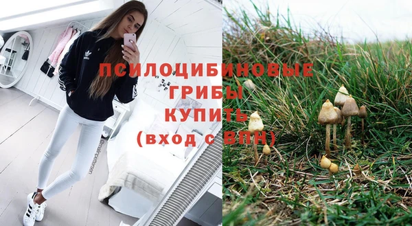 прущая мука Аркадак